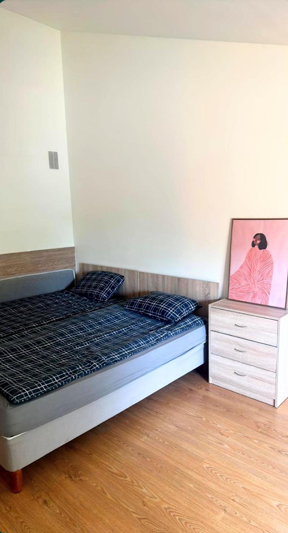 Centro Apartamentai Appartement Birštonas